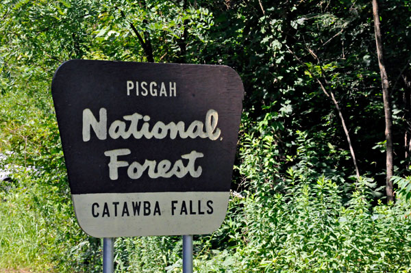 Pisgah National Forest and Catawba Falls sign
