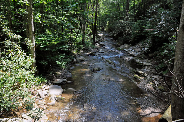 view from one side of the bridge