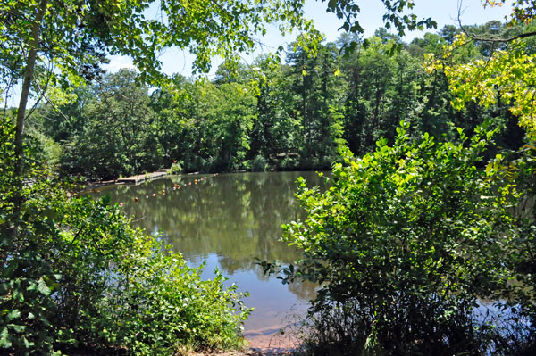 view from the side of the dam