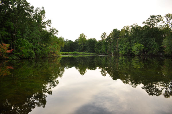 Stumpy Pond and reflections