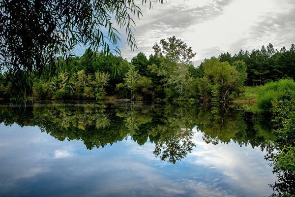 Stumpy Pond and reflections