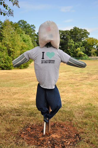 D and R Family Dentistry scarecrow