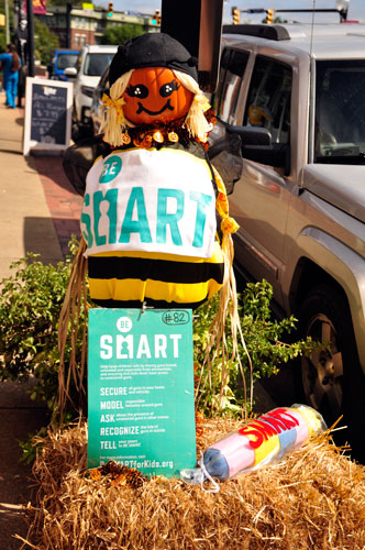 Smart scarecrow