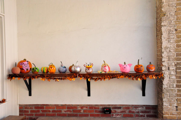 small pumpkins on a shelf