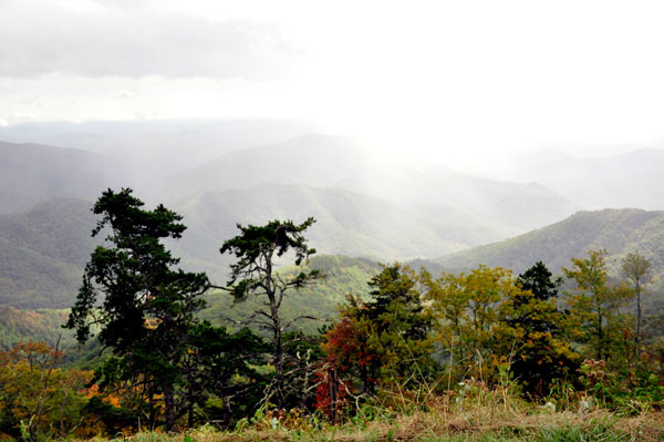 view from Curtis Vally Overlook