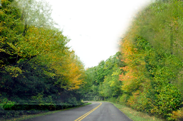 fall colors by the road