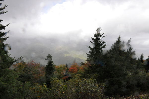 foggy view of Mt. Mitchell