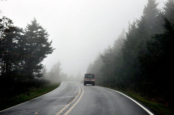 foggy road