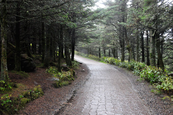 path to Elisha Mitchell's grave site