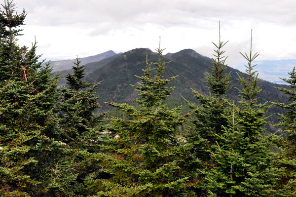 view from Mt. Mitchell