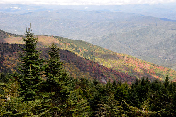 view from Mt. Mitchell