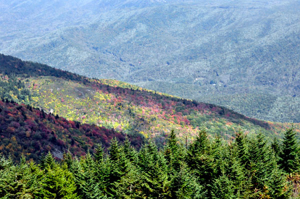 view from Mt. Mitchell