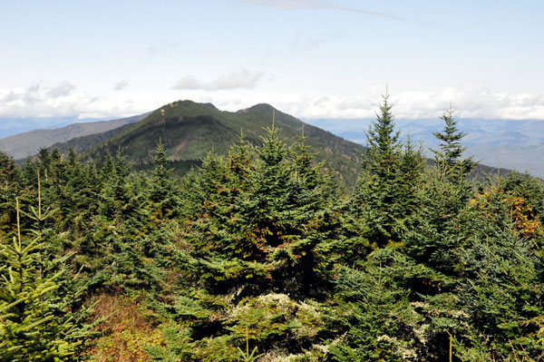 view from Mt. Mitchell