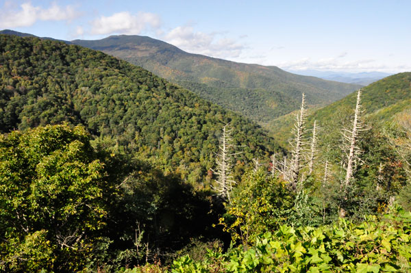 Bald Knob parking area view