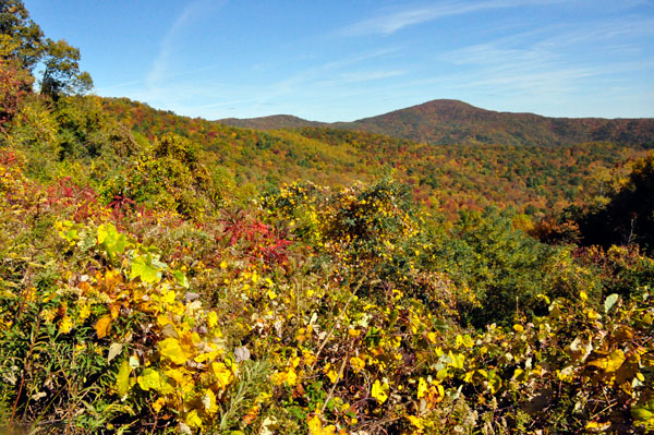 view at Brown Mountain Overlook