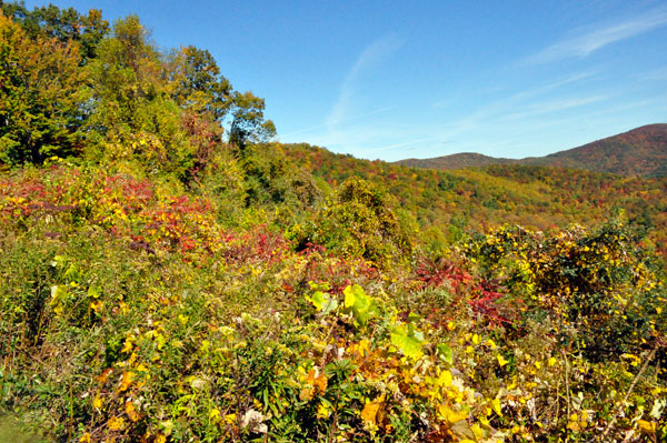 view from Brown Mountain Overlook