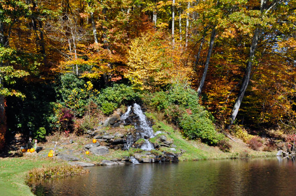 waterfall, pumpkins, fall colors