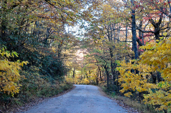 the road is not paved