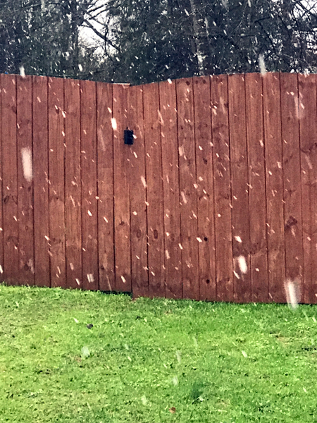 Snow falling near the fence.