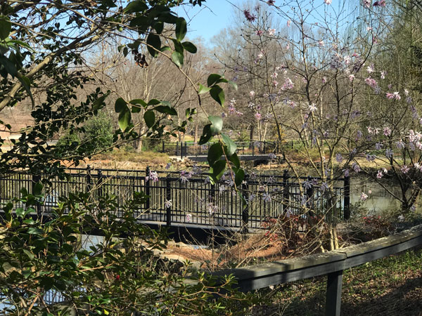 bridge and flowers