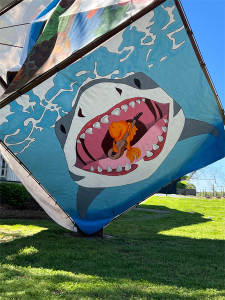shark giant canvas block in Lancaster SC