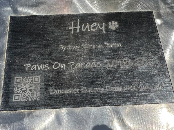 Paws on Parade - Huey the dog