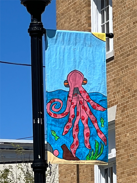 flag on a lightpole in Lancaster, SC 2023