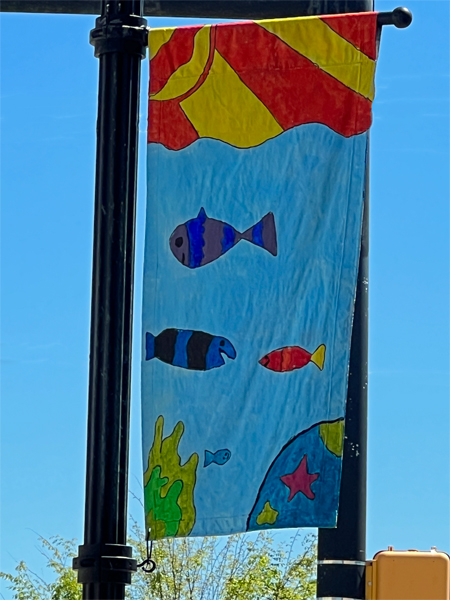 flag on a lightpole in Lancaster, SC 2023