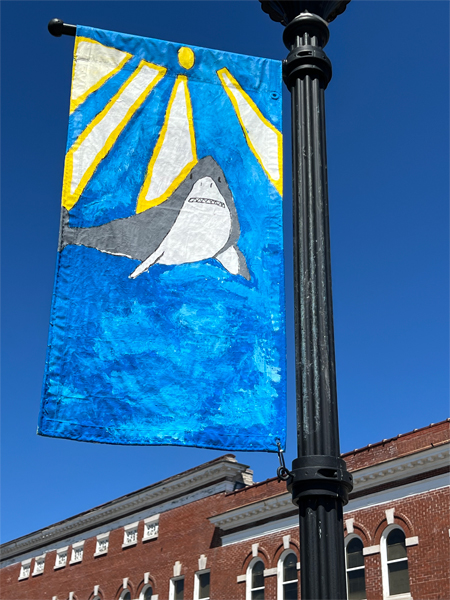 flag on a lightpole in Lancaster, SC 2023