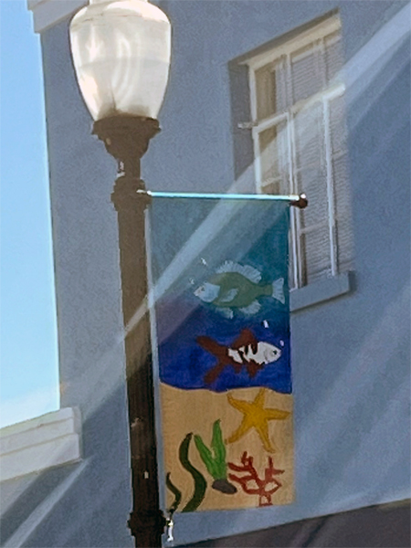 flag on a lightpole in Lancaster, SC 2025