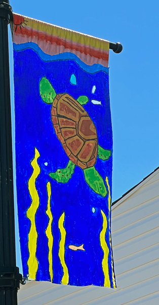 turtle flag