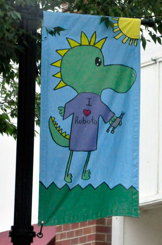 flag on a lightpole in Lancaster, SC