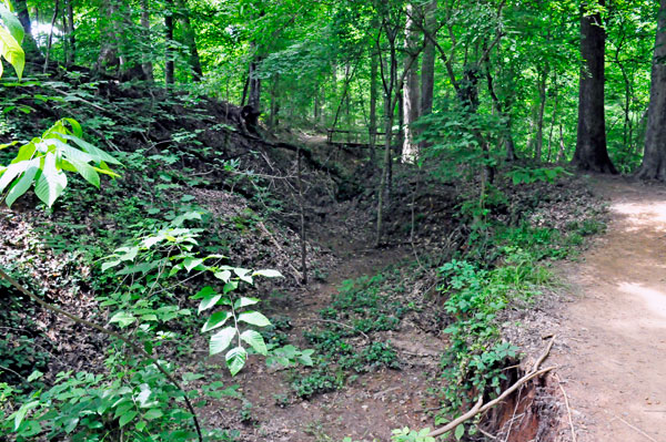 hiking trail