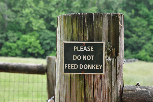 Donkey sign