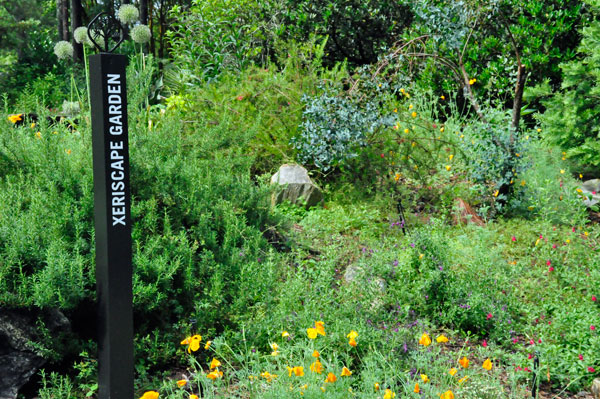 Xeriscape Garden