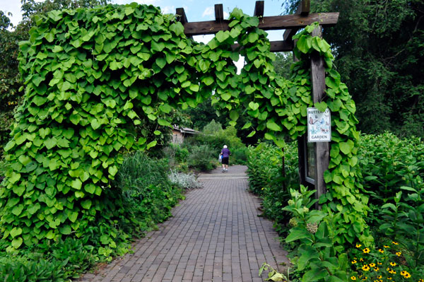 Lee Duquette in the Butterfly Garden