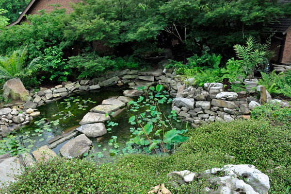 pond and path