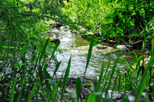 the top of the waterfall near The Hunt House