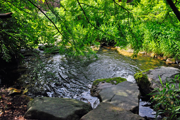 the top of the waterfall near The Hunt House