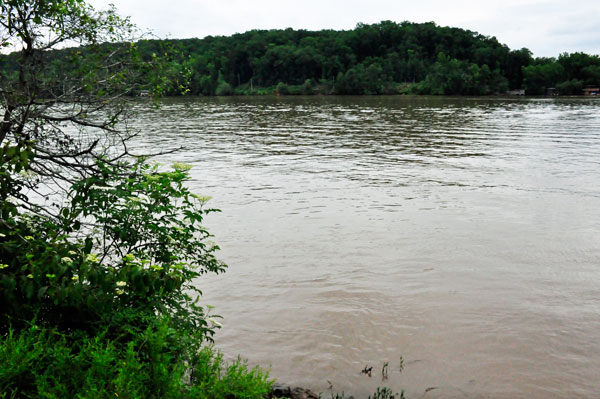 view from the bridge