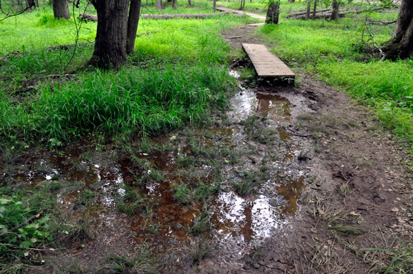 Three Rivers Loop Trail