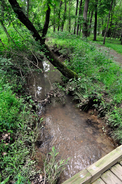 view from a bridge