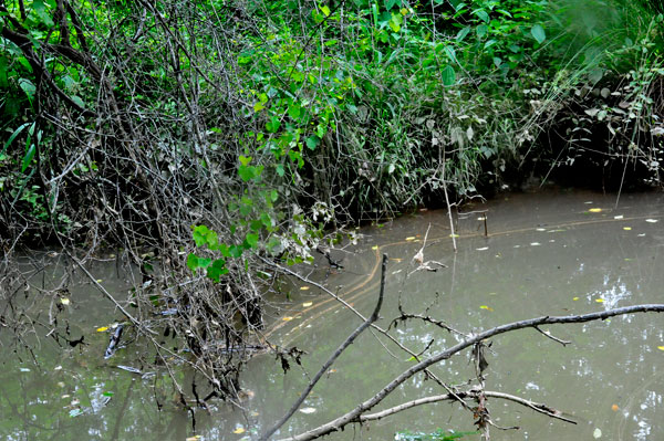 river on the Three Rivers trail