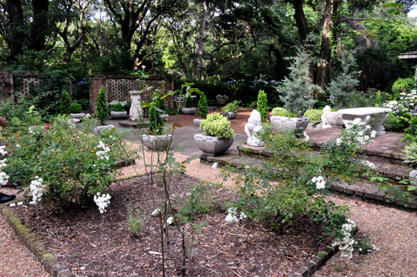 flowers at The Elizabethan Gardens  in NC