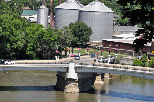 The Y Bridge