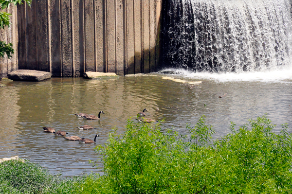 The Y Bridge Dam