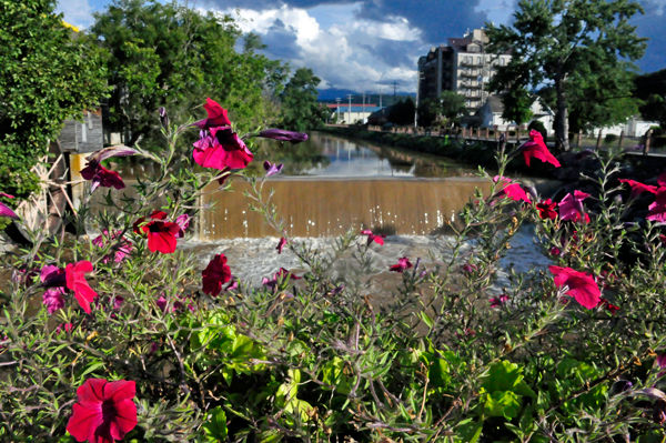 the chocolate dam and flowers