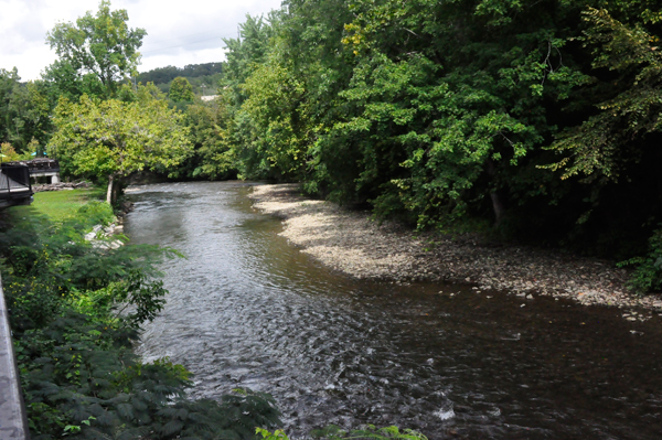 Margaritaville view of the river