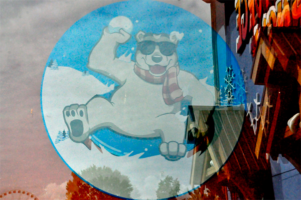 snow bear sticker in the window