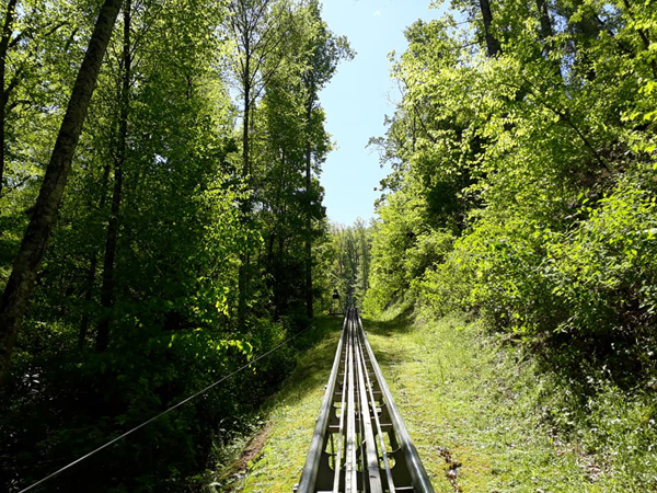 Alpine Coaster Pigeon Forge